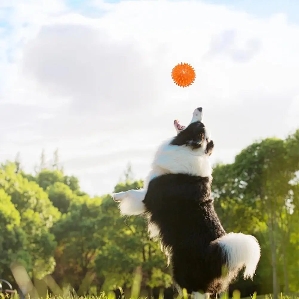 Pet Toy TPR Sound From Hi Toy Ball Dog Bite Resistant Elastic Prick Ball Medium Large Dog Toy