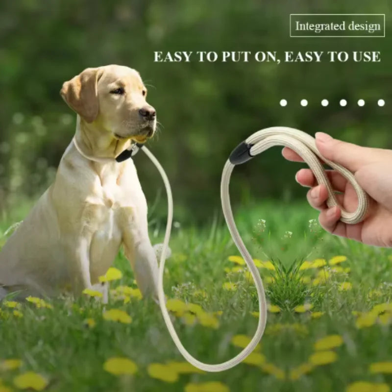 Quality Pet Dog Leash Rope Nylon Adjustable Training Lead Pet Dog Leash Dog Strap Rope Traction Dog Harness Collar Lead