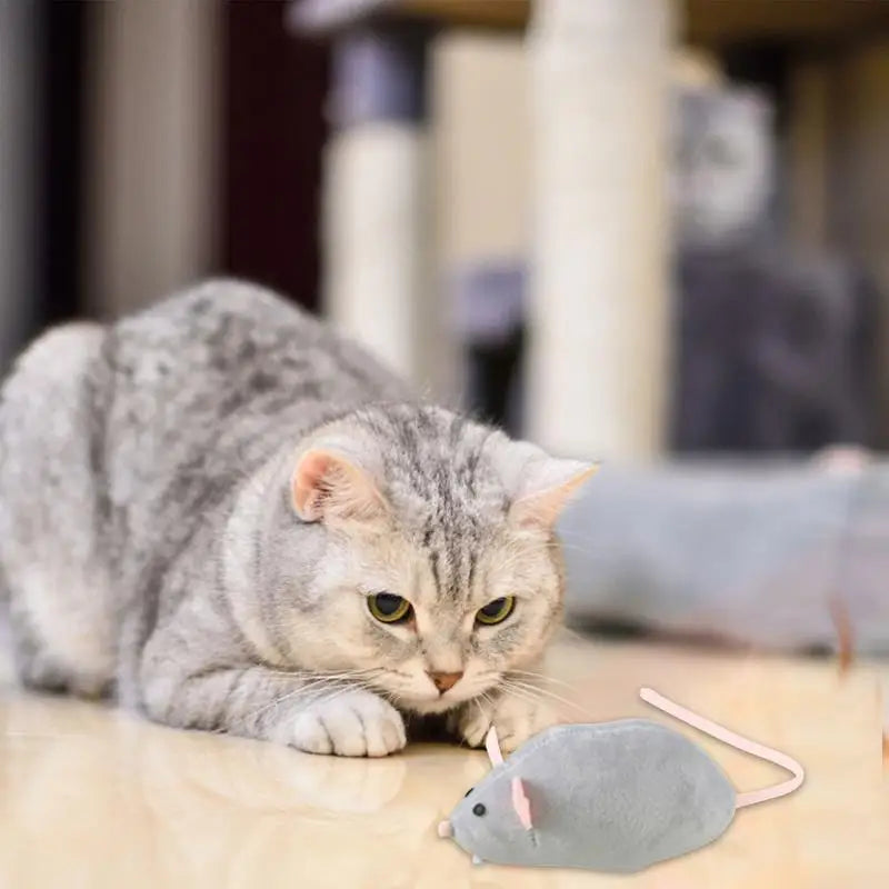 Cat Mouse Toys Cartoon Mice Cat Chew Toy Cat Teaser Toys Increases Interactive Experience Boosts Physical And Mental Health